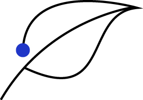 02_MSCI_spring.jpg