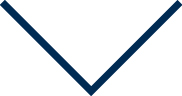 pg21-icon_arrow.jpg