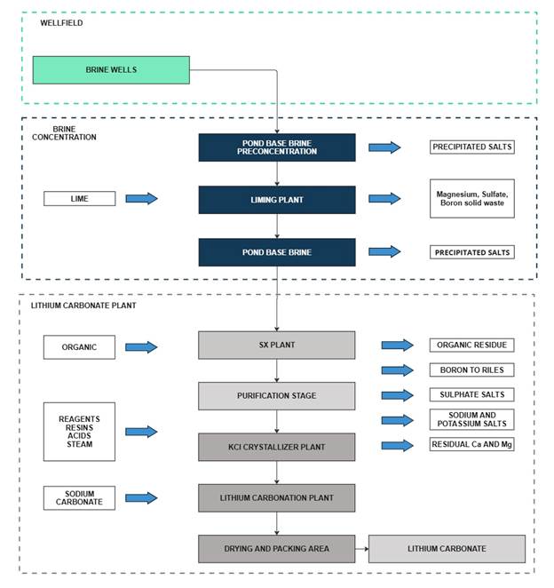 A diagram of a plant
AI-generated content may be incorrect.