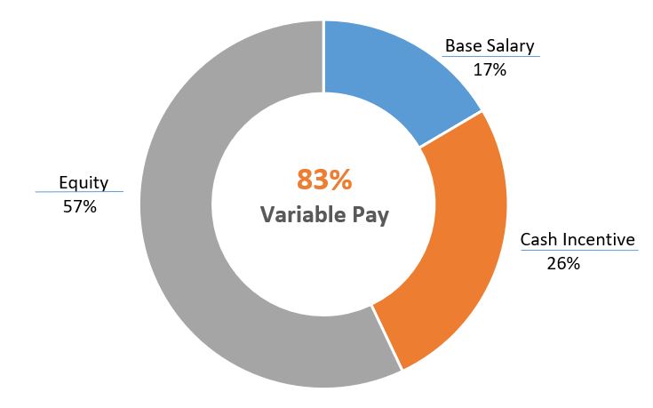 2023 CEO Pay Mix.jpg