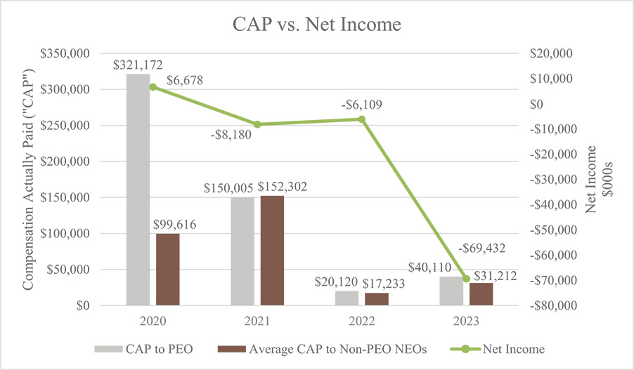 [MISSING IMAGE: bc_capnetincome-pn.jpg]