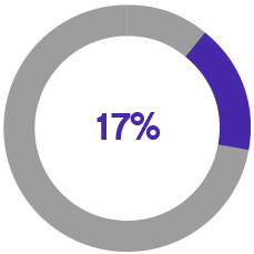 pg46_piechart-ceoaim.jpg