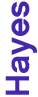gfx_verticalName_hayes.jpg