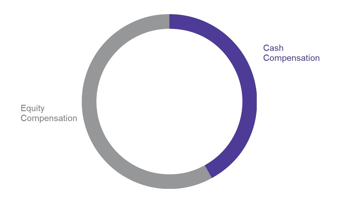 Board Comp Pie Chart.jpg
