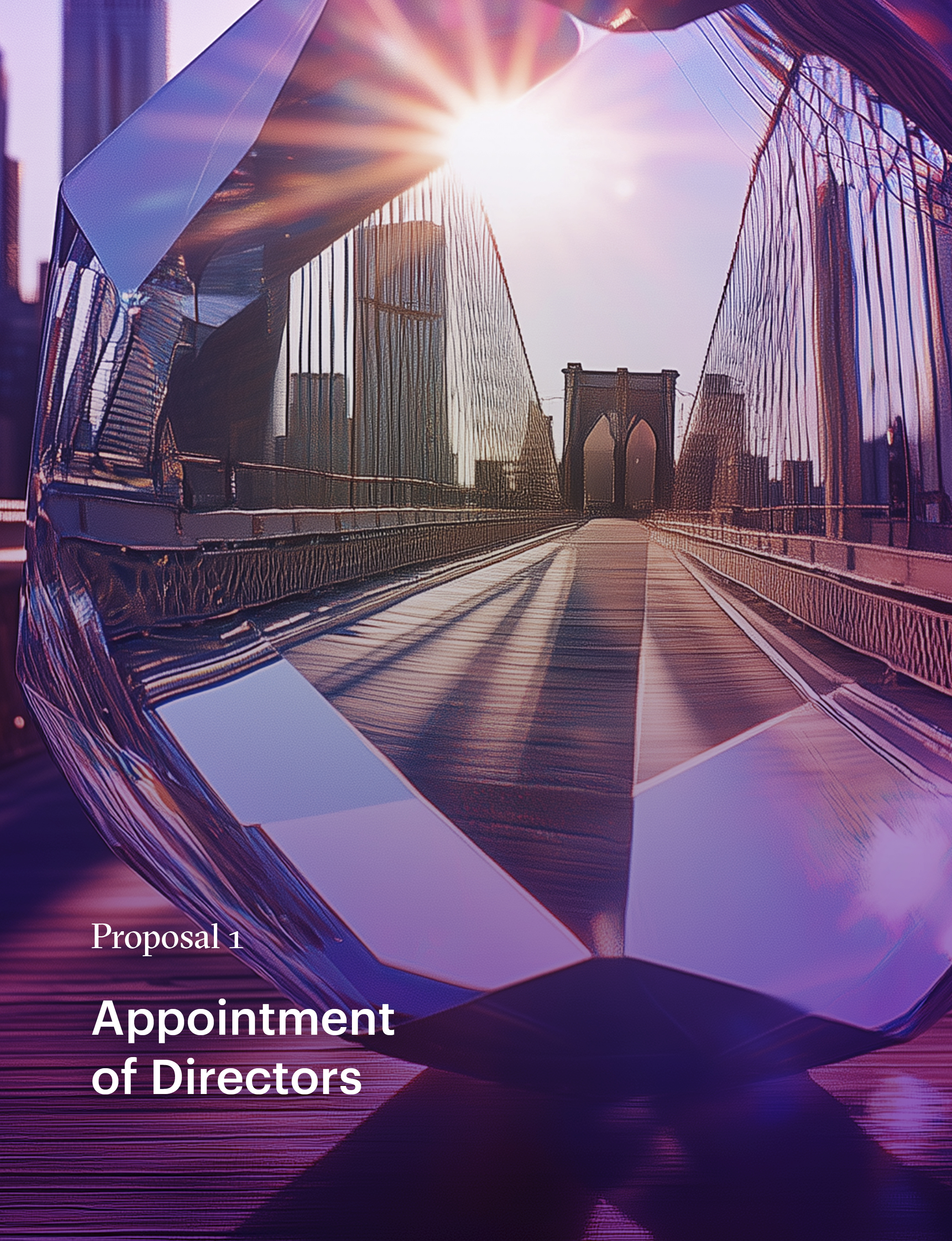 Proposal 1 Appointment of Directors.jpg