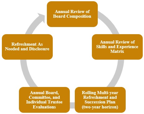 Board Effectiveness cycle.jpg