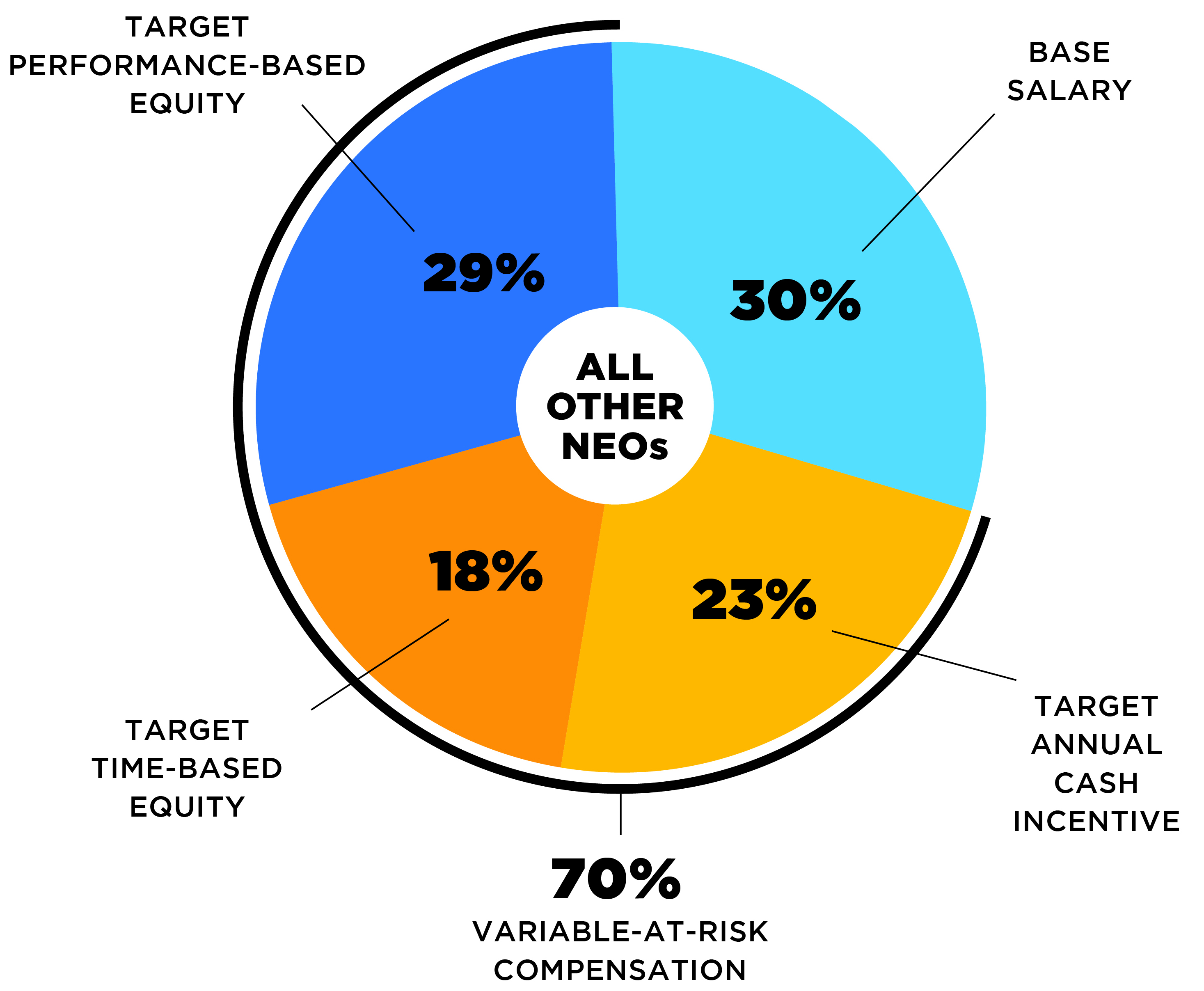 ProxyPieChart_2024_NEOs (002) FINAL.jpg