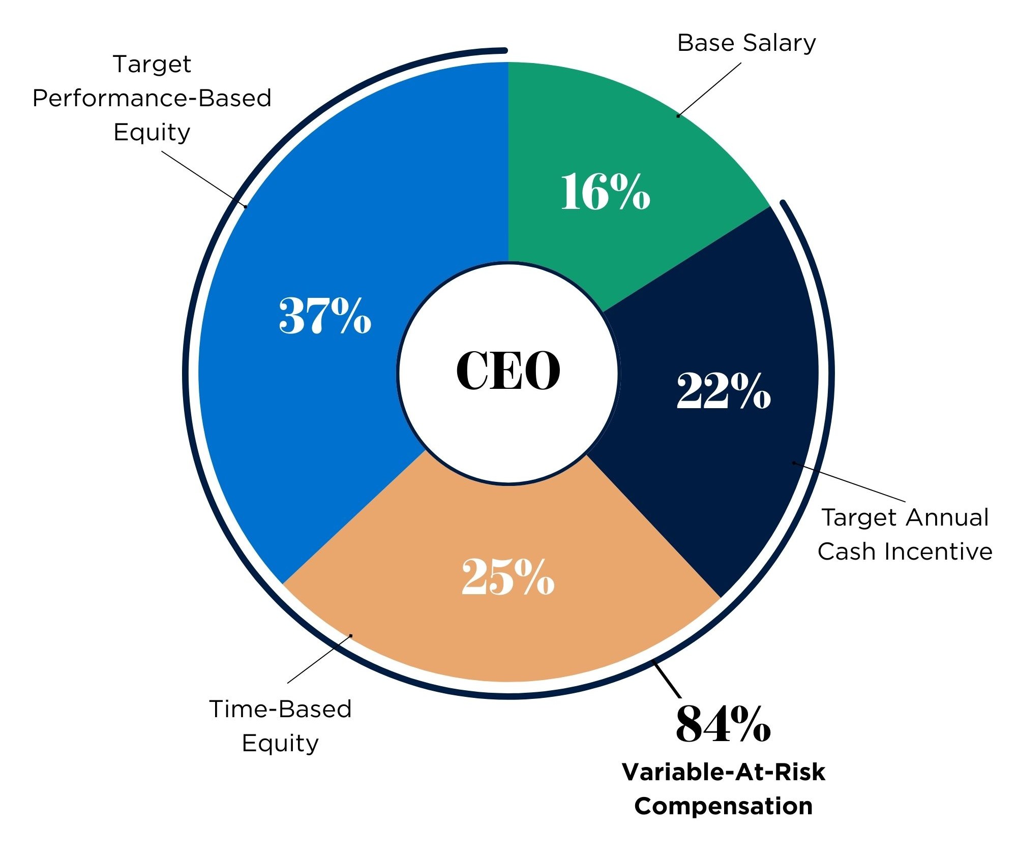 CEO Pie Chart.jpg