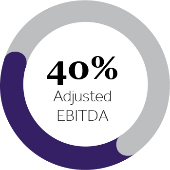 03_424586(1)_2_pie_AdjustedEBITDA.jpg