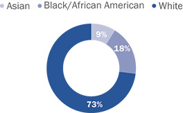 [MISSING IMAGE: pc_ethnicity-pn.jpg]
