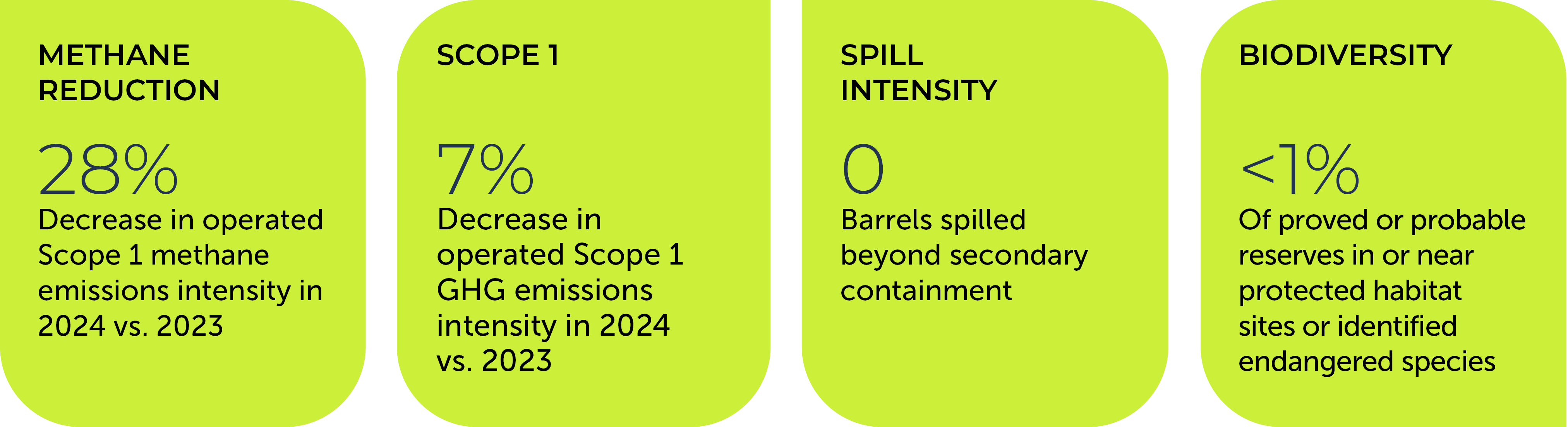 04_CHIRD_ESG Performance Summary_environ.jpg