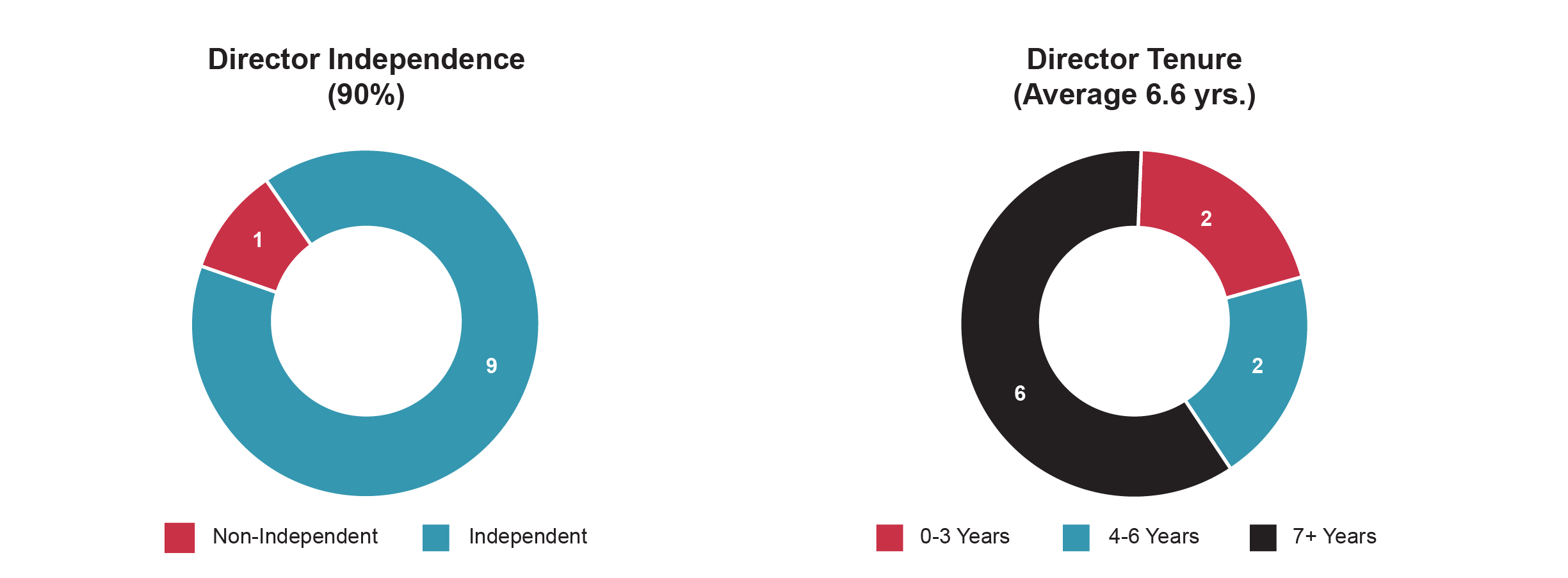 PROXY charts-2023_Director Metrics 1 (003).jpg