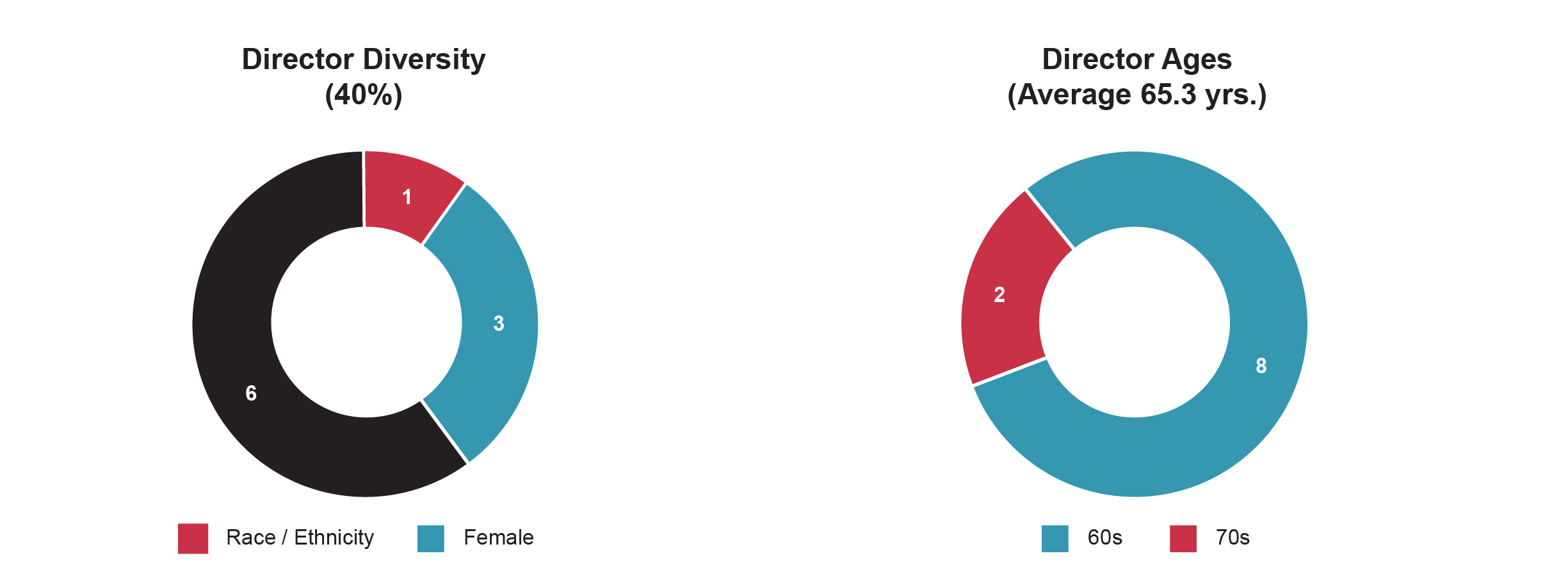 PROXY charts-2023_Director Metrics 2 Part 2.jpg
