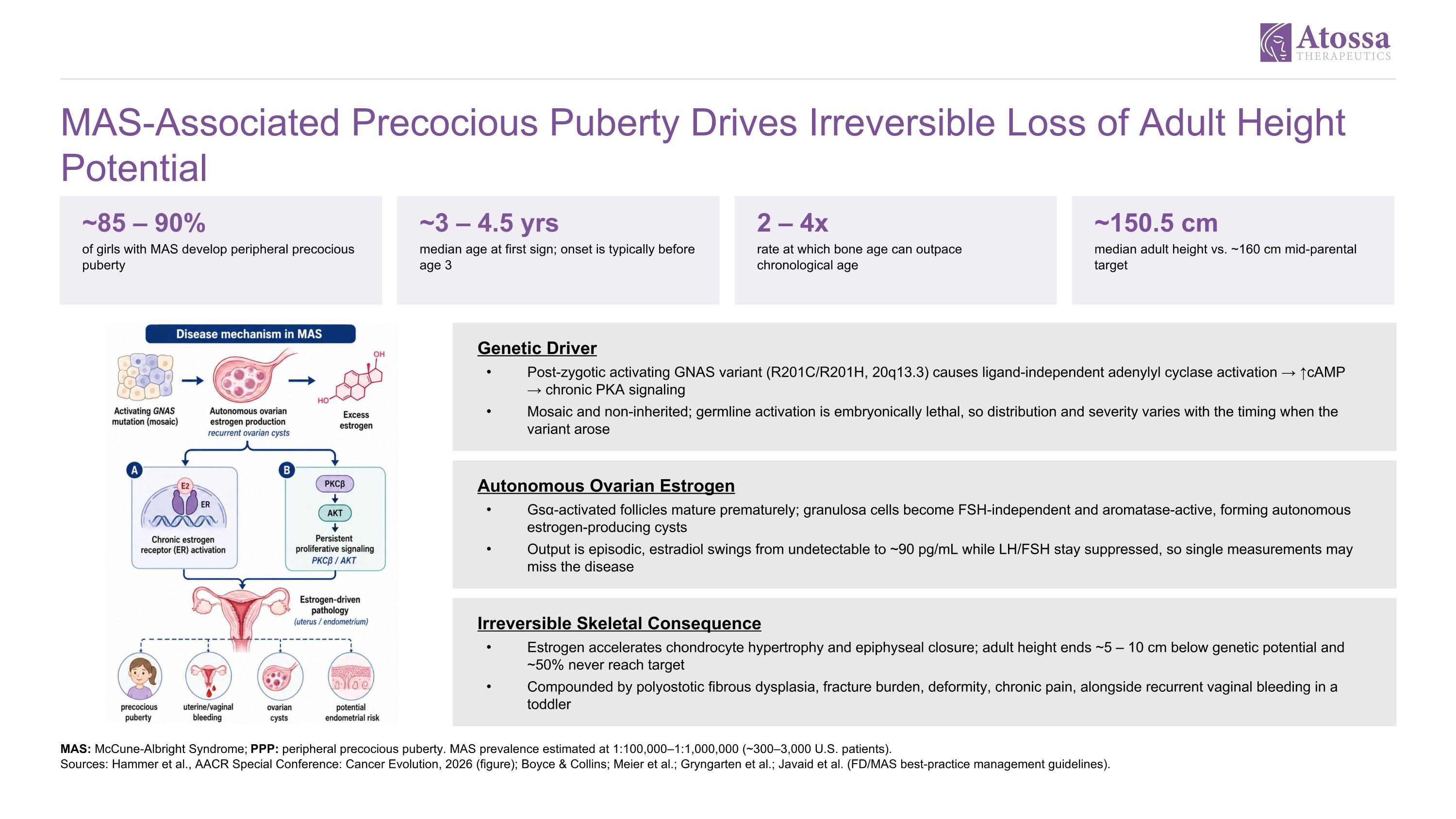 Slide 8