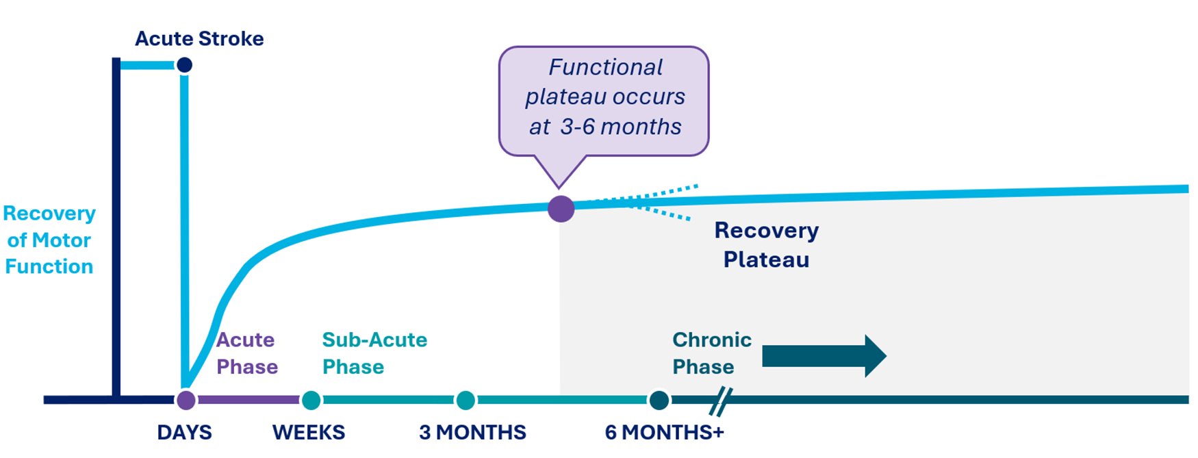 graphic1a.jpg
