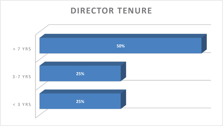 [MISSING IMAGE: tm212309d1-bc_director4clr.jpg]