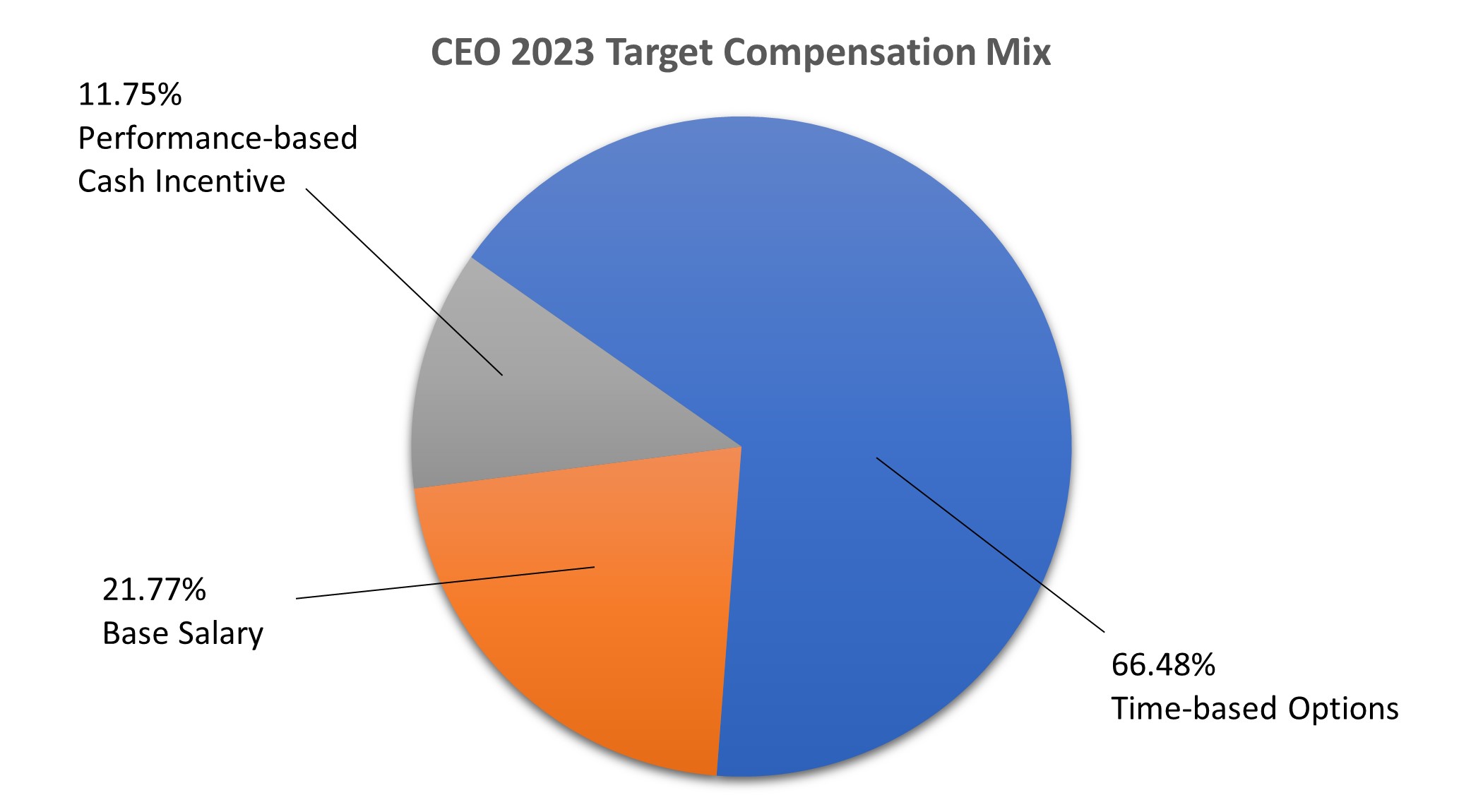 ceo2023 pie.jpg