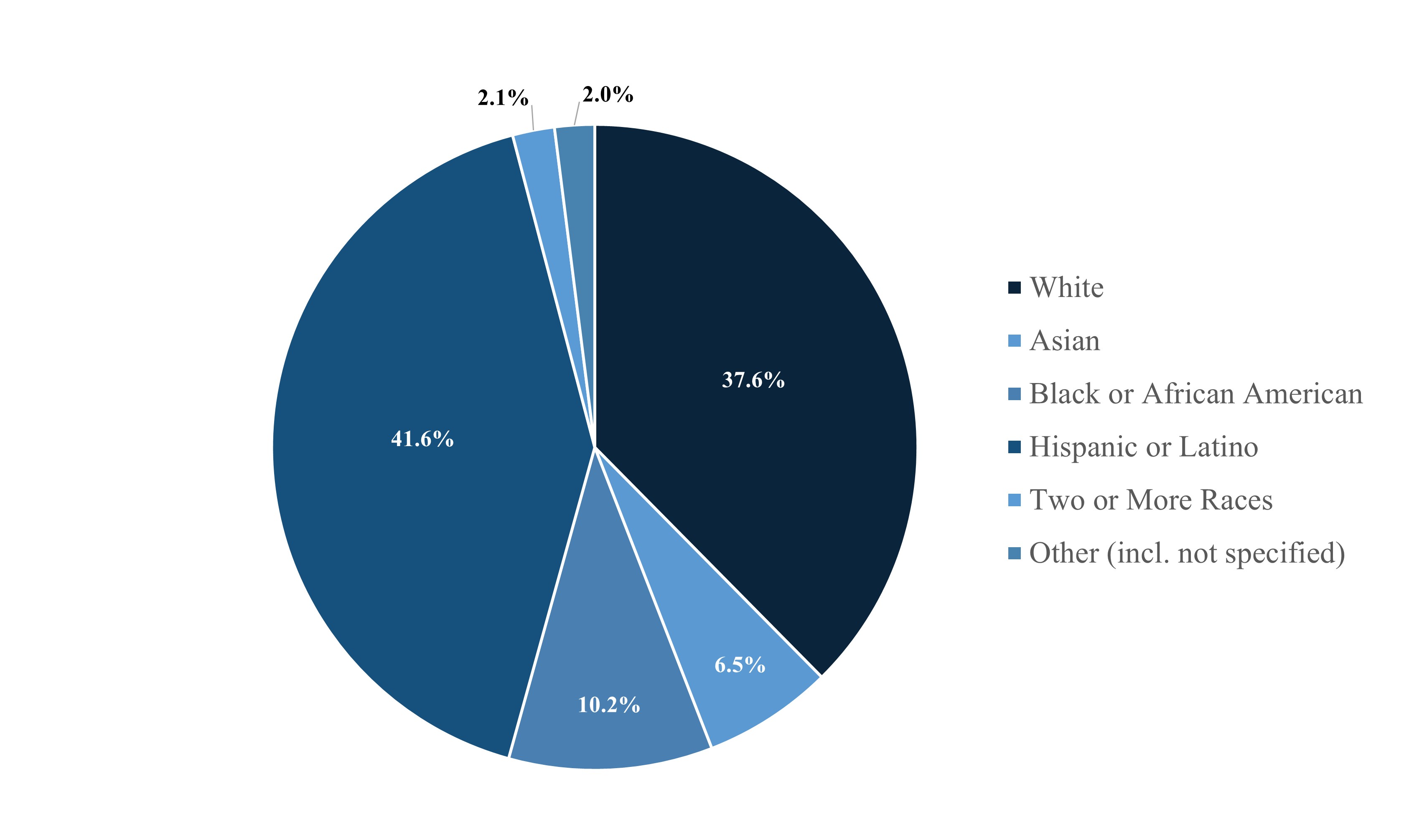 Employee Demographics Chart.jpg