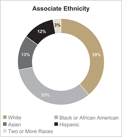 [MISSING IMAGE: pc_assoethni-pn.jpg]