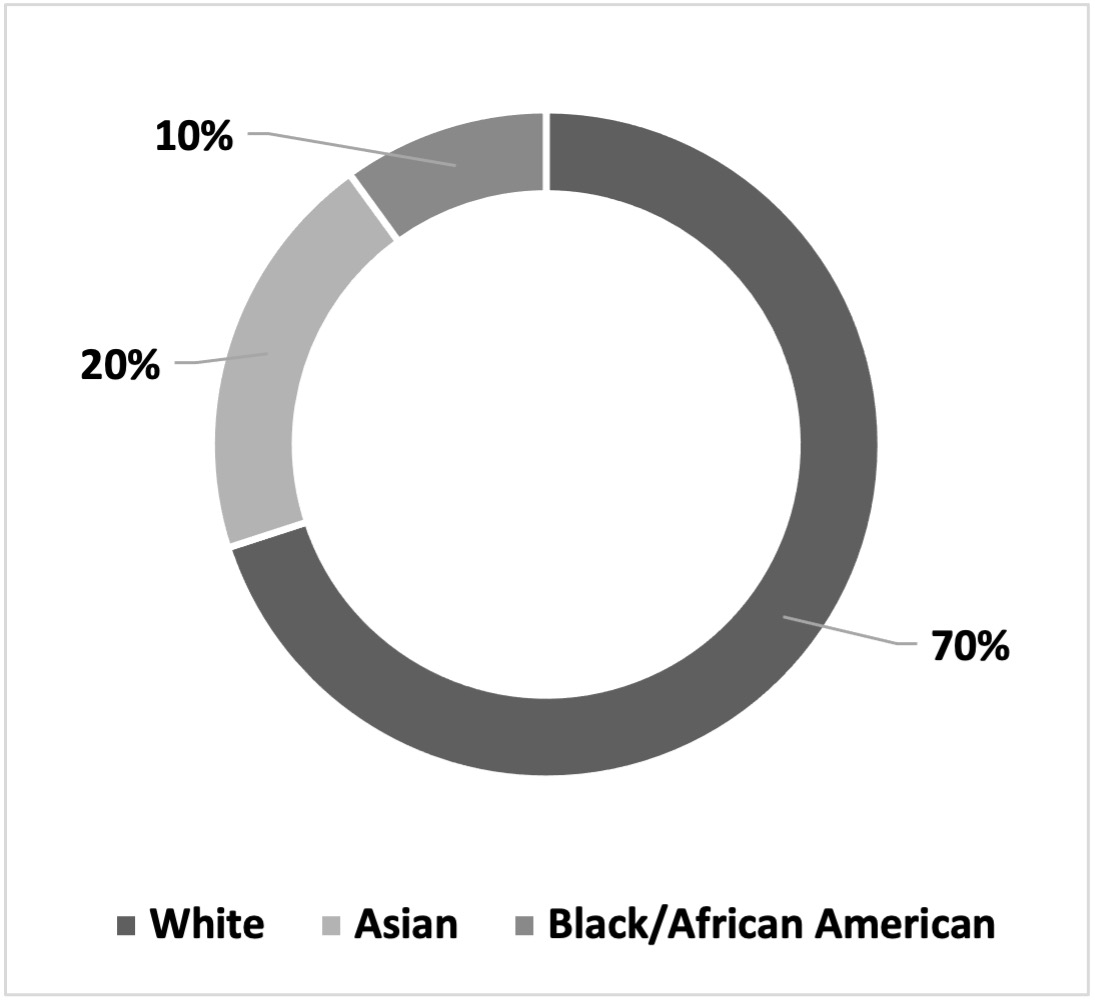 Director Ethnicity.jpg