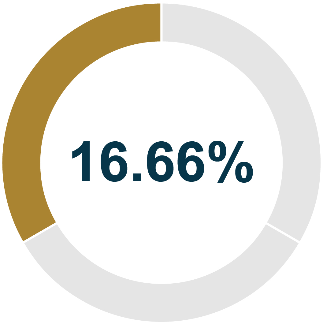 03_427643-1_pie_Performance Bonus_mini pie_Talent People.jpg