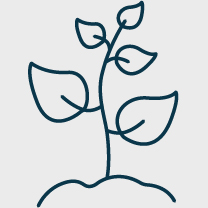 02 PRO013306_icons_seasons_spring.jpg