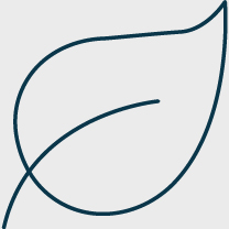 02 PRO013306_icons_seasons_fall.jpg