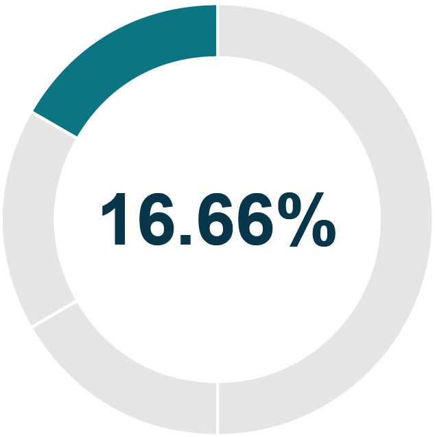 03_PRO013306_pie_businessdev (1) (1).jpg