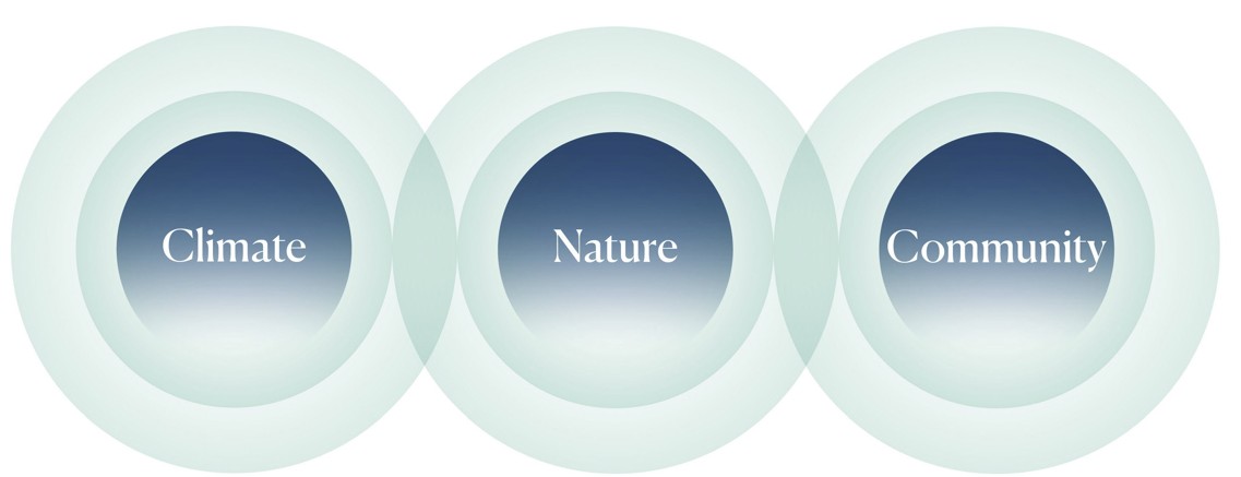 Three pillars.jpg