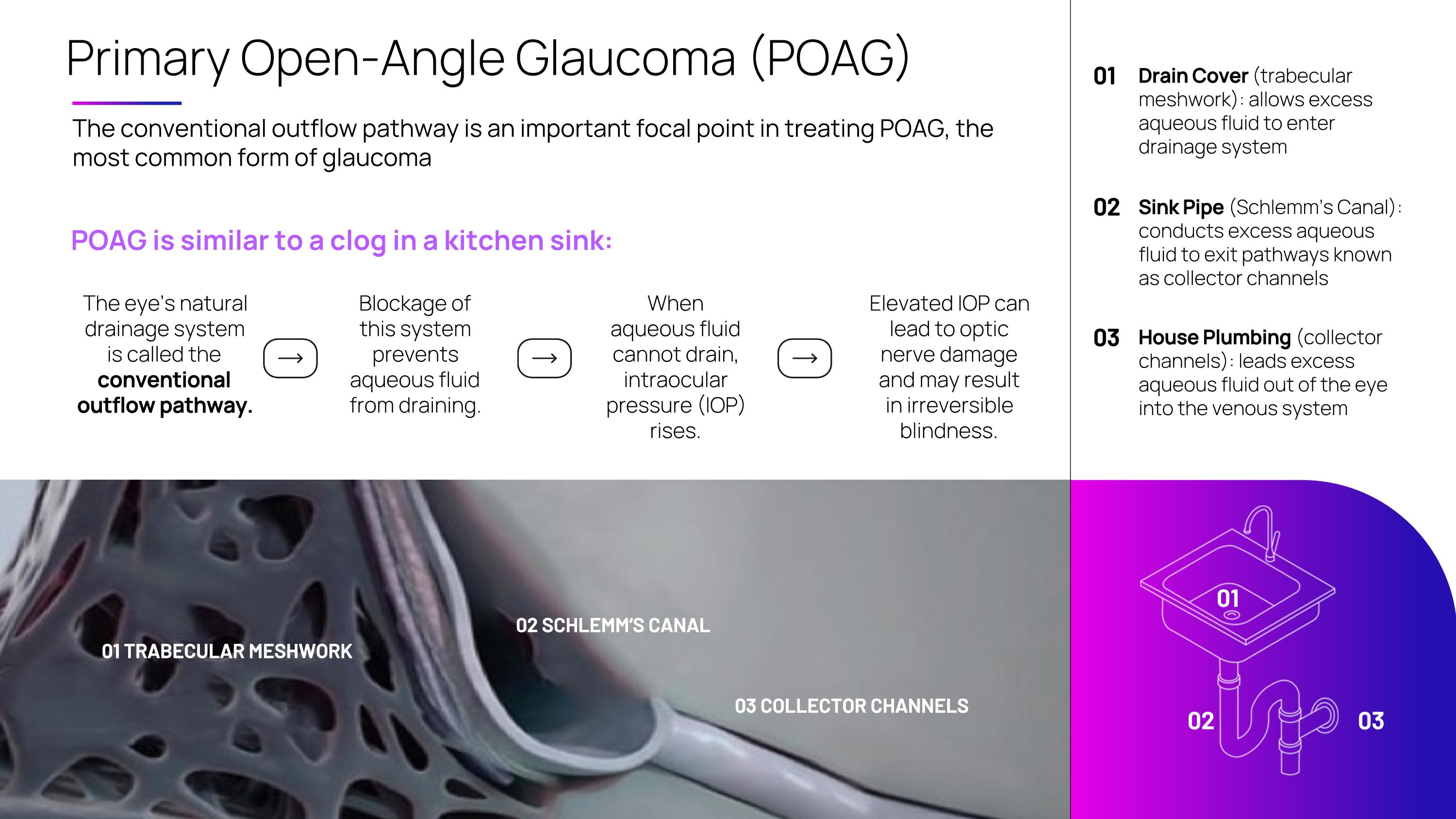 Slide 21