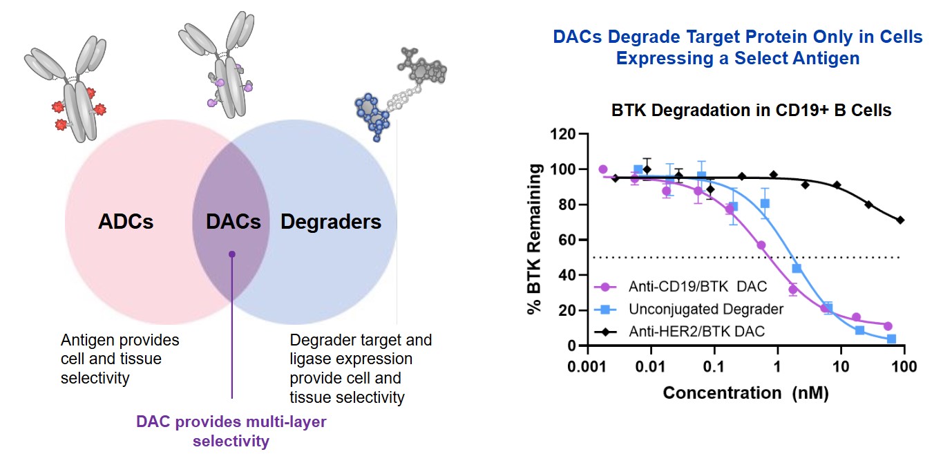 Screenshot 2025-01-14 094641.jpg