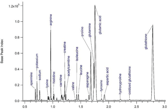 [MISSING IMAGE: tm2112538d1-lc_saprat4clr.jpg]