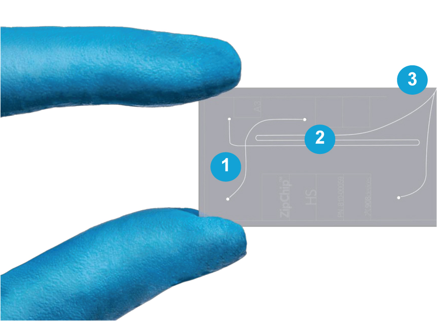 [MISSING IMAGE: tm2112538d1-ph_integ4clr.jpg]