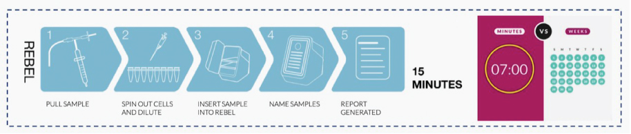 [MISSING IMAGE: tm2112538d1-ph_rebel4clr.jpg]