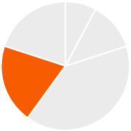 3 439034-3_pie_CEO-stockoptions.jpg