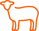 02 439034-1_icons_animal health.jpg
