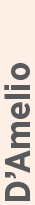 04 439034-3_gfx_verticalname-D’Amelio gray.jpg