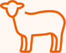 02 439034-1_icons_animal health-bgorangetinted.jpg