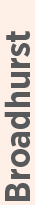04 439034-3_gfx_verticalname-Boroadhurst gray.jpg