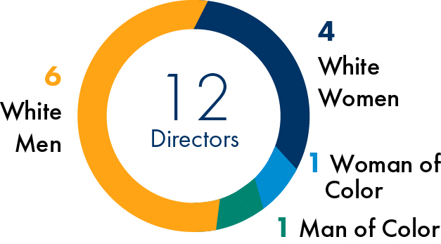 03_PRO013716_pie_directornominees_diversity slant.jpg