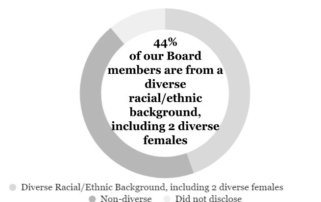 diversity revised with one did not disclose 4 10 23.jpg