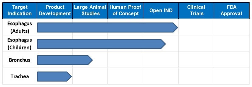 Chart

Description automatically generated with medium confidence