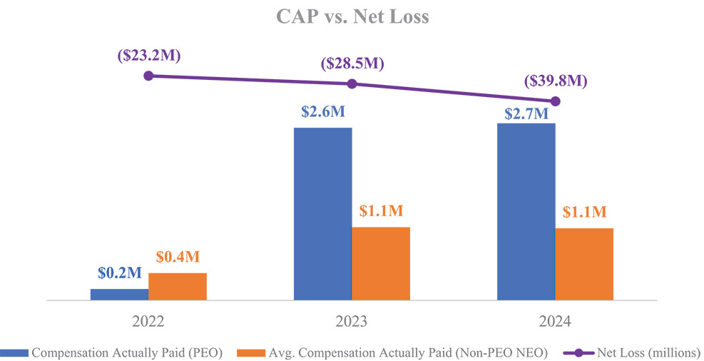 [MISSING IMAGE: bc_netloss-4c.jpg]