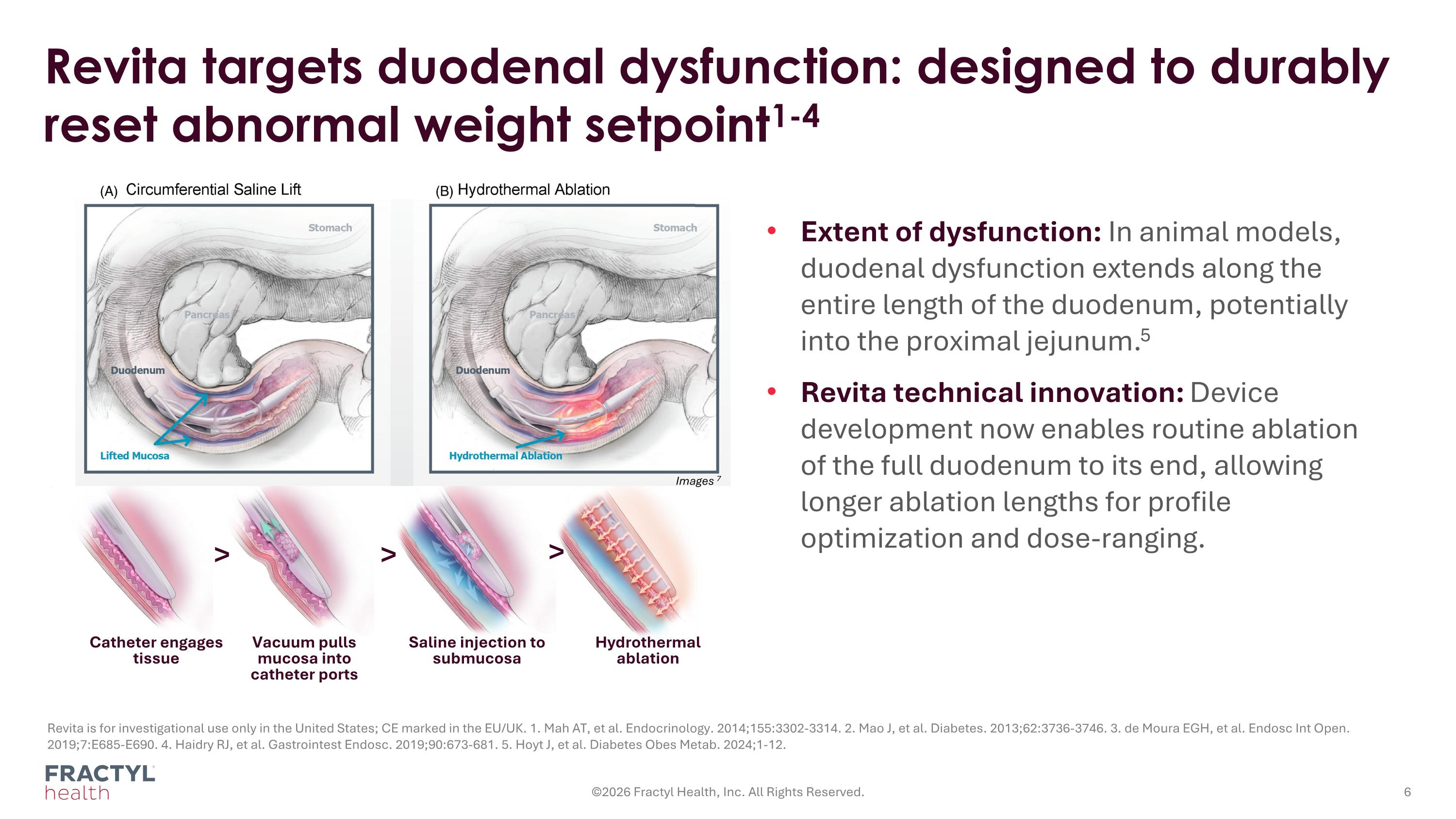 Slide 6
