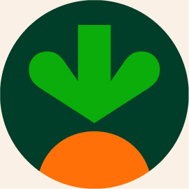Carrot_kale_cashew.jpg