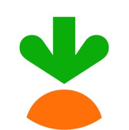Carrot_white.jpg