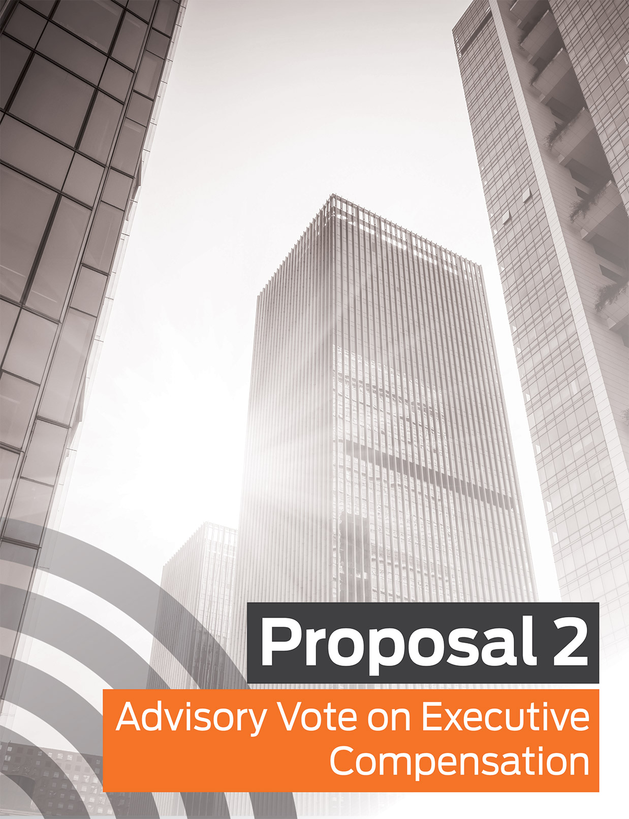 [MISSING IMAGE: pg_proposal2-pn.jpg]