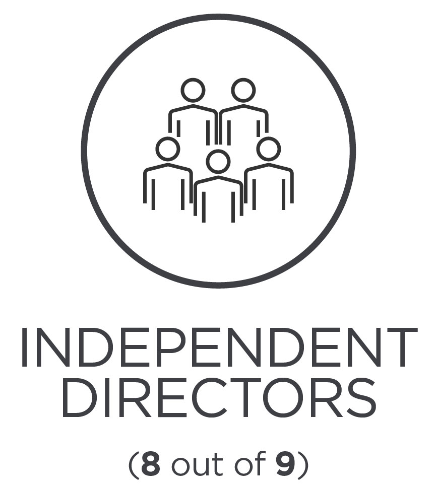 proxy_statement_graphics25-directors.jpg
