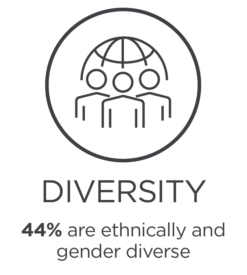 proxy_statement_graphics25_diversity.jpg
