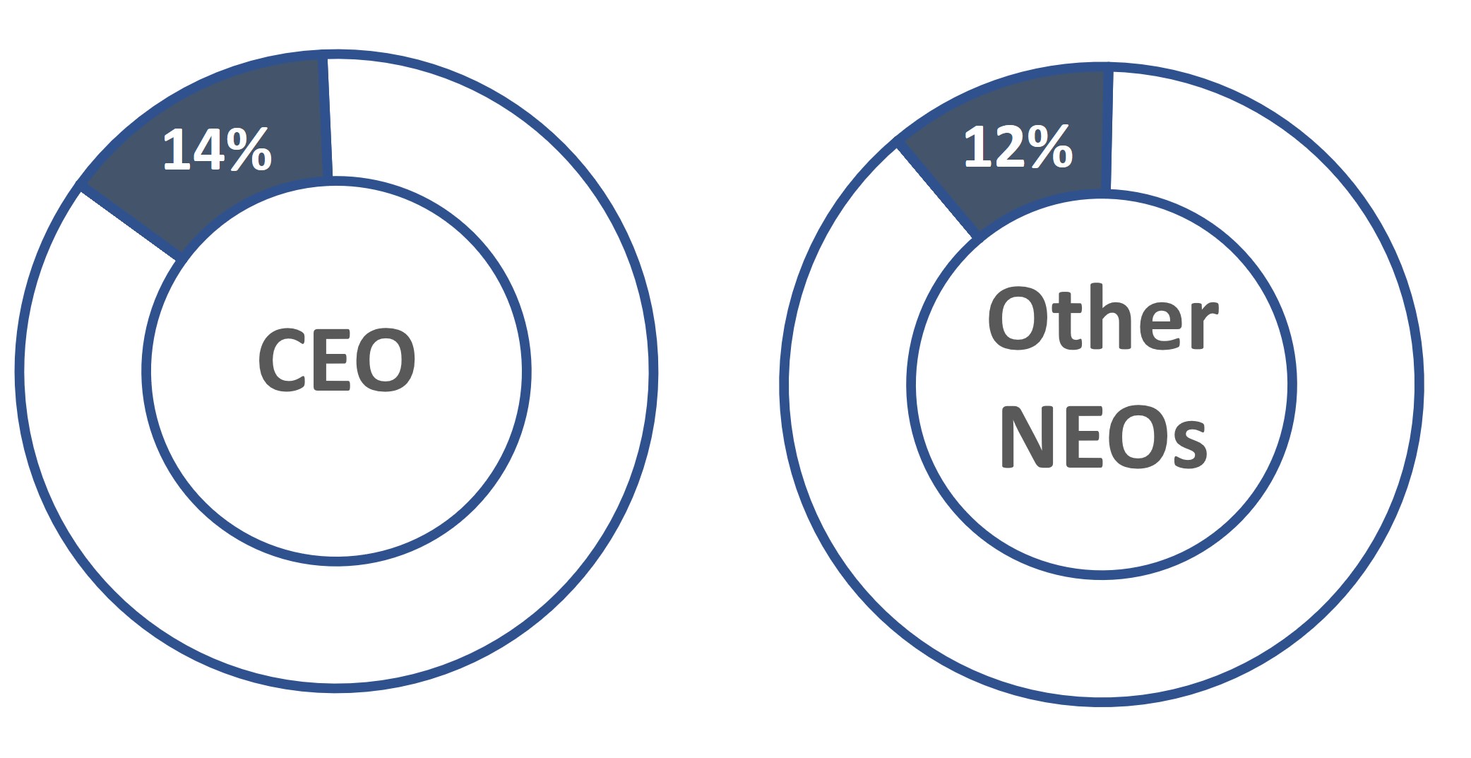 Comp Program Design - RSUs.jpg